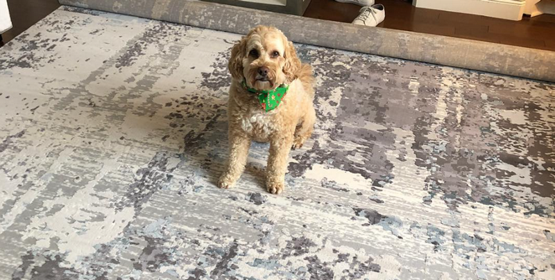 Wood Rugs for Home Floor